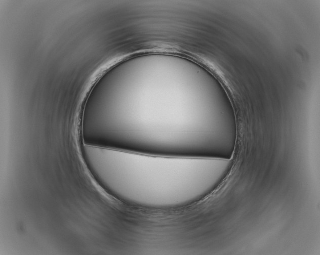 X0000113551379200909180950