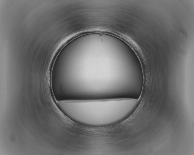 X0000113551380200909180950