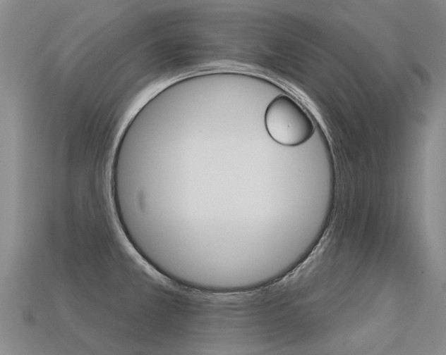 X0000113551381200909180950