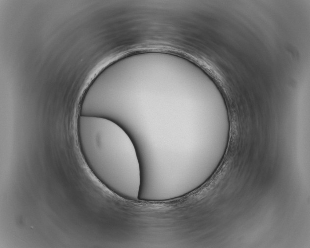 X0000113551382200909180950