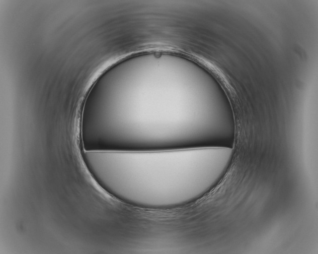 X0000113551383200909180950