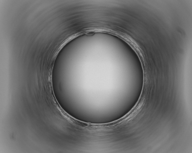 X0000113551385200909180950