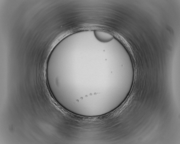X0000113551386200909180950