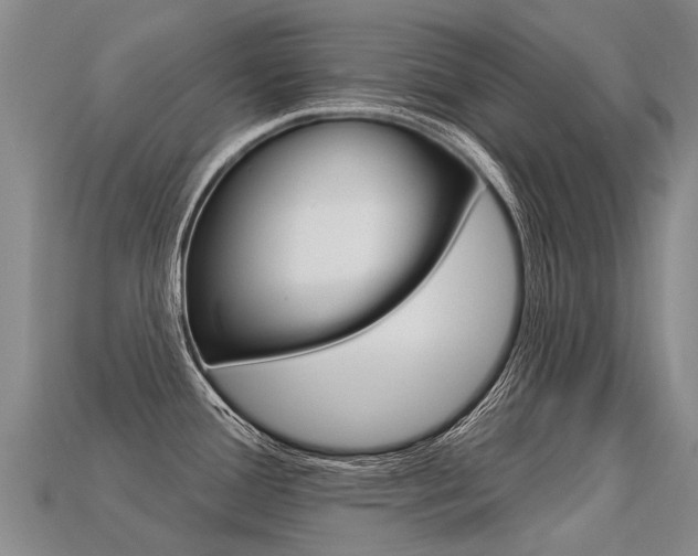 X0000113551388200909180950