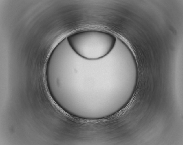 X0000113551389200909180950