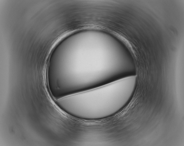 X0000113551391200909180950
