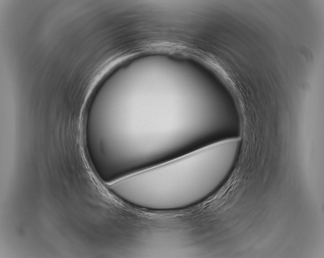 X0000113551392200909180950