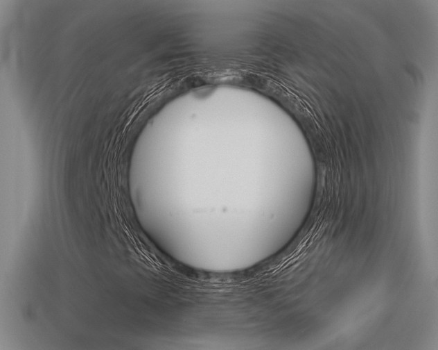 X0000113551393200909180949