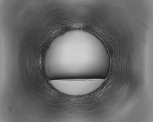 X0000113551394200909180949
