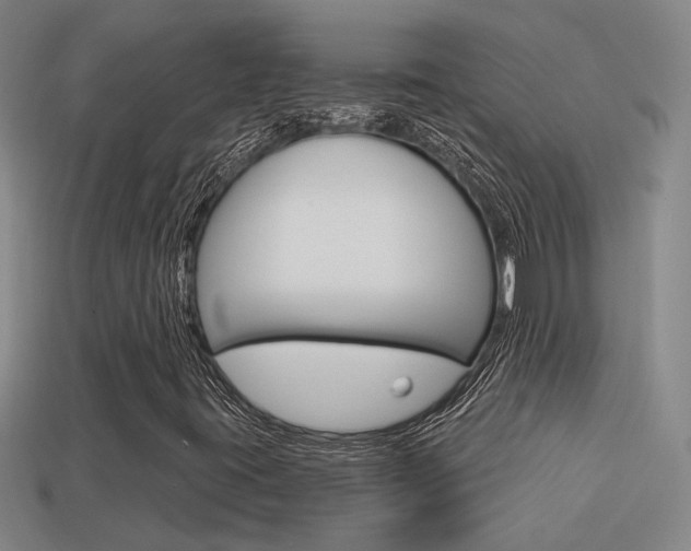 X0000113551395200909180949