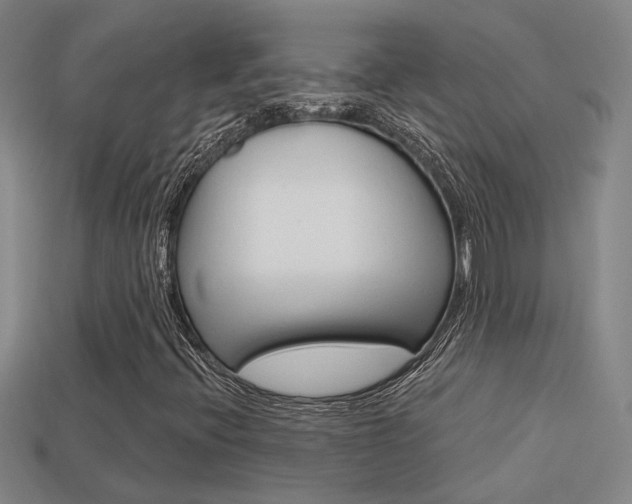 X0000113551396200909180949