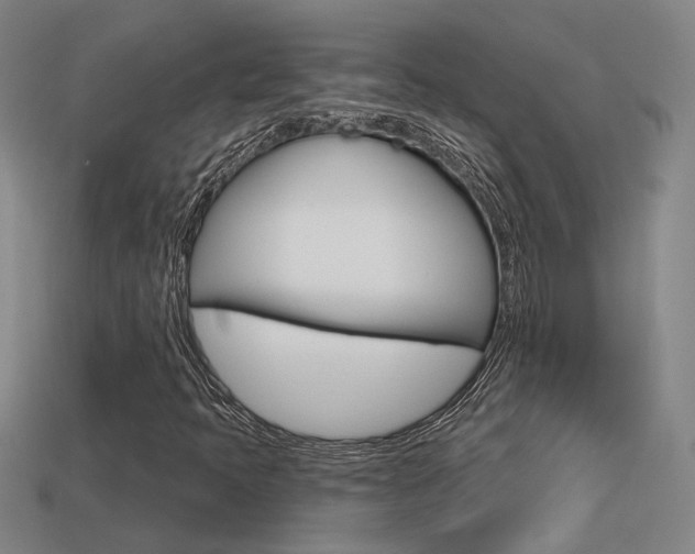 X0000113551397200909180949