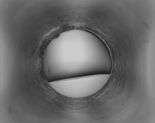 X0000113551398200909180949