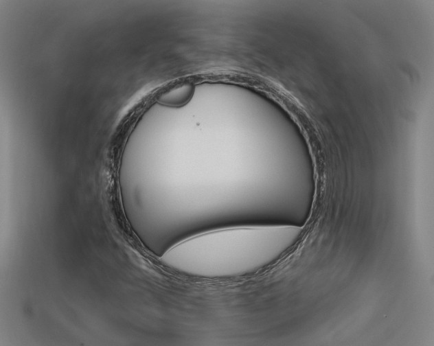 X0000113551400200909180949