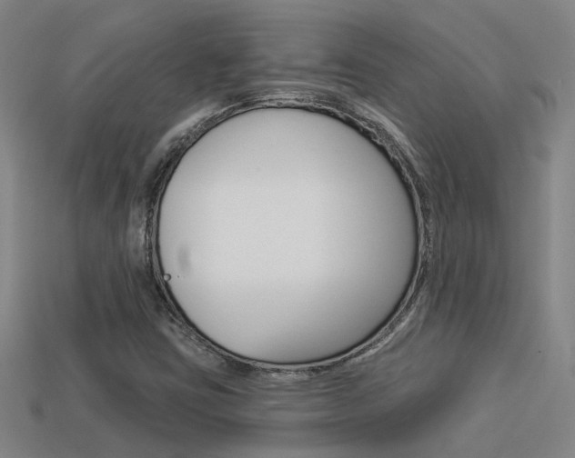 X0000113551403200909180949