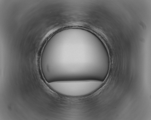 X0000113551404200909180949