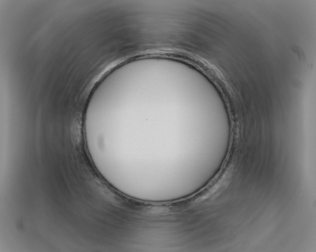 X0000113551409200909180949