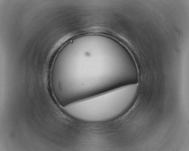 X0000113551410200909180950