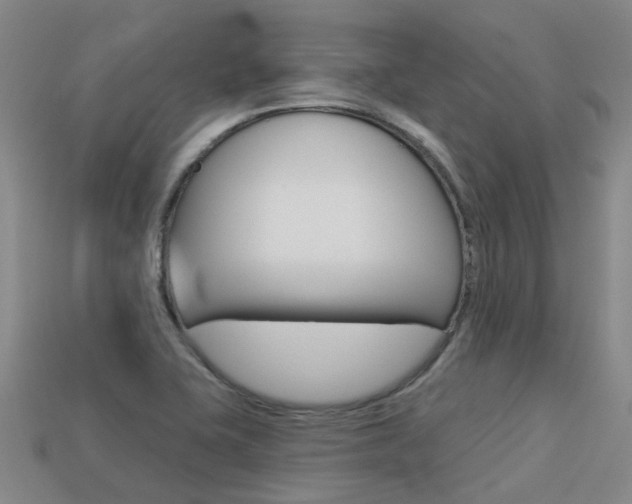 X0000113551415200909180950