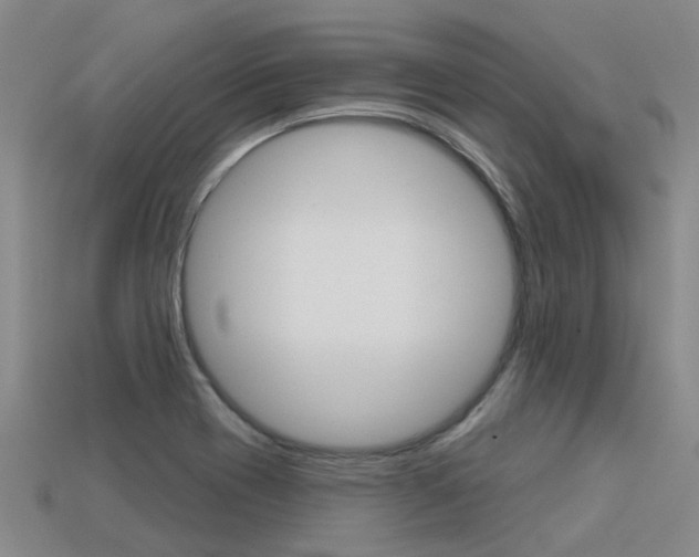 X0000113551417200909180950
