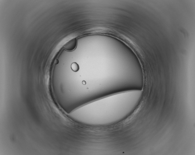 X0000113551418200909180950