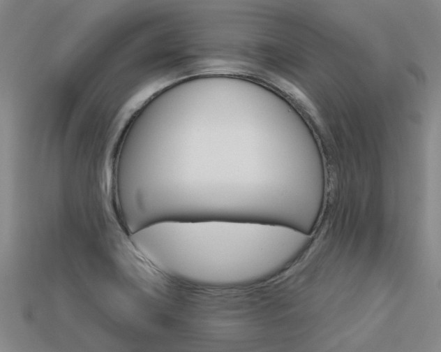 X0000113551419200909180950