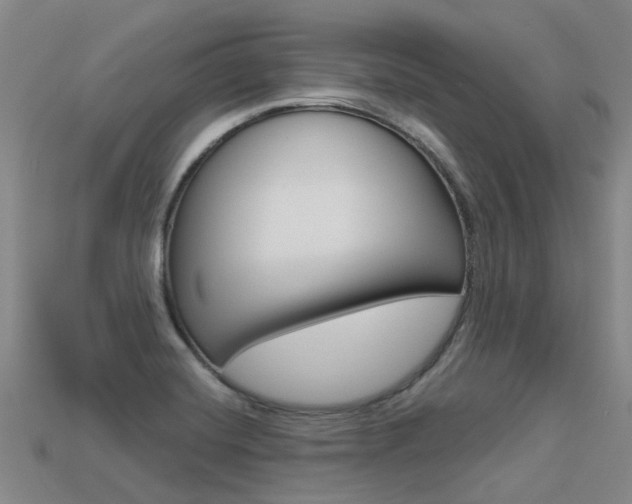 X0000113551420200909180950