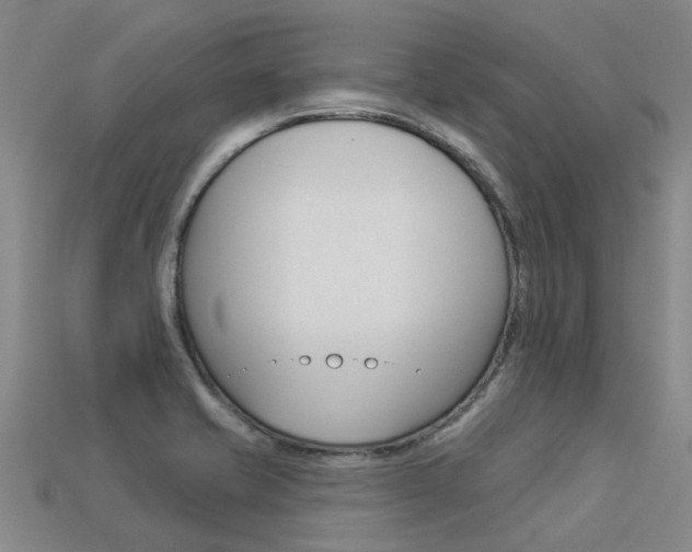 X0000113551421200909180950
