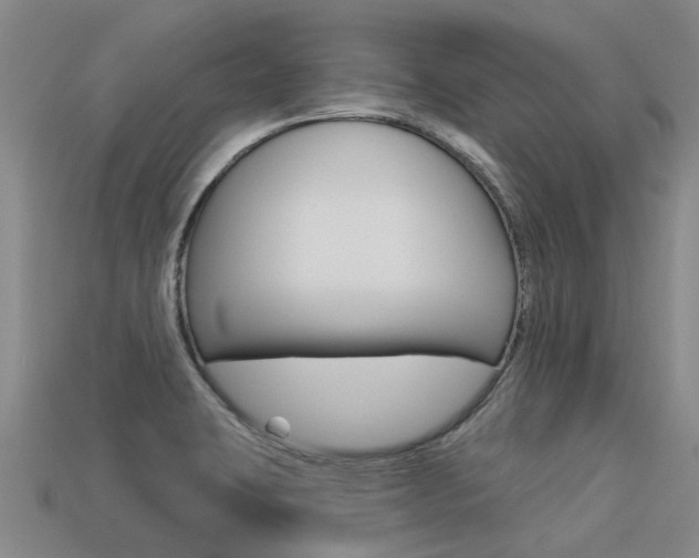 X0000113551423200909180950