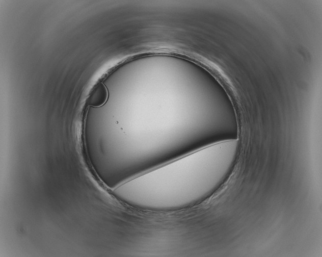 X0000113551424200909180950