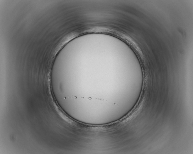 X0000113551425200909180950