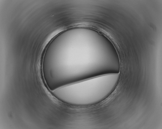 X0000113551426200909180950