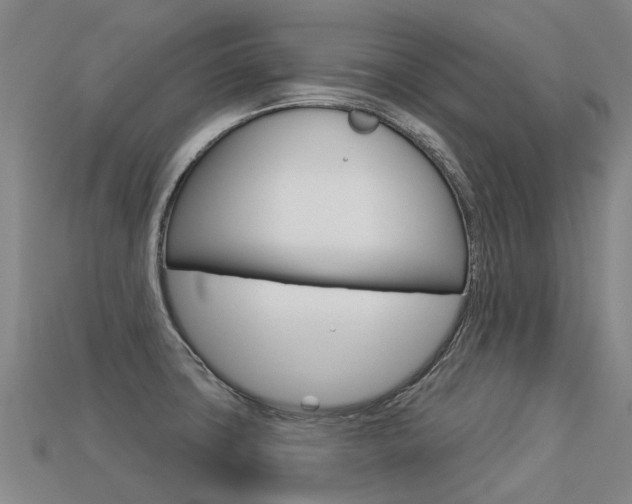 X0000113551427200909180950