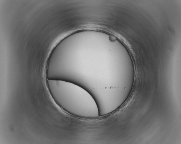 X0000113551429200909180950