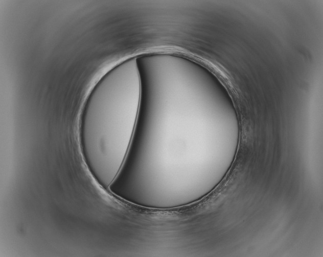 X0000113551430200909180950