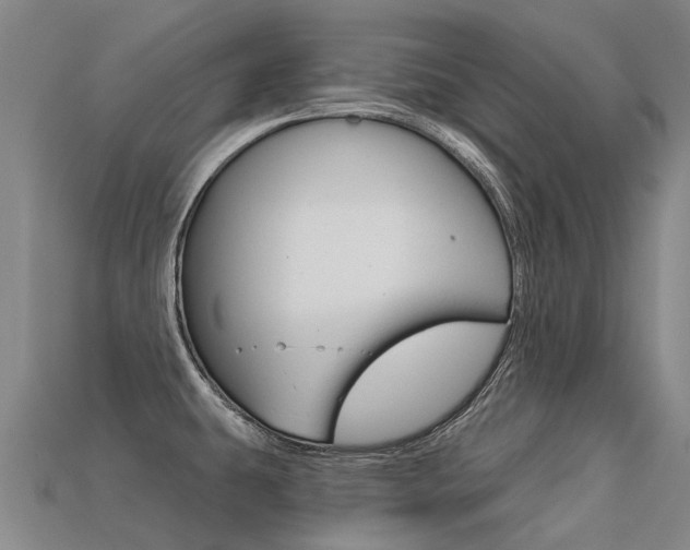 X0000113551431200909180950