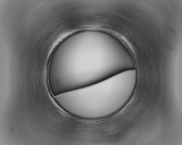 X0000113551432200909180950