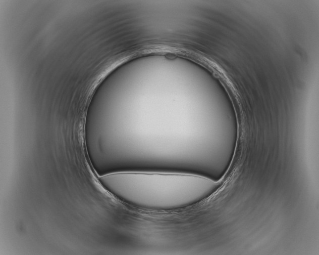 X0000113551433200909180950