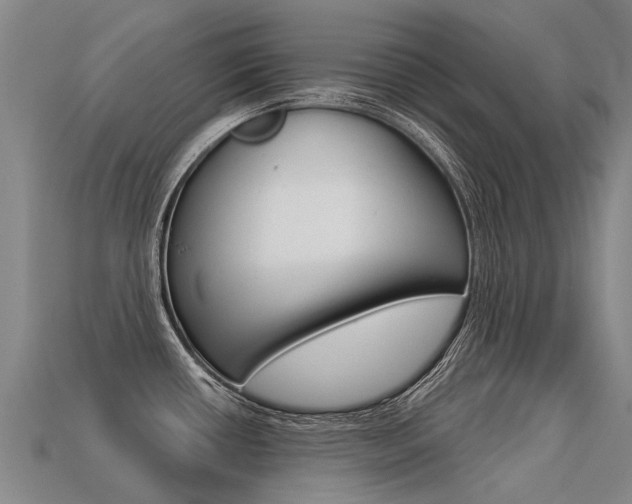 X0000113551434200909180950