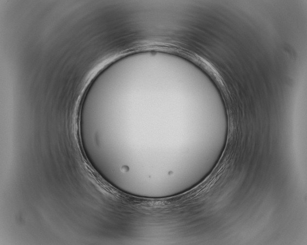 X0000113551435200909180950
