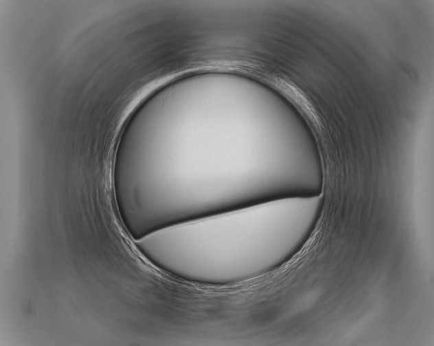 X0000113551436200909180950