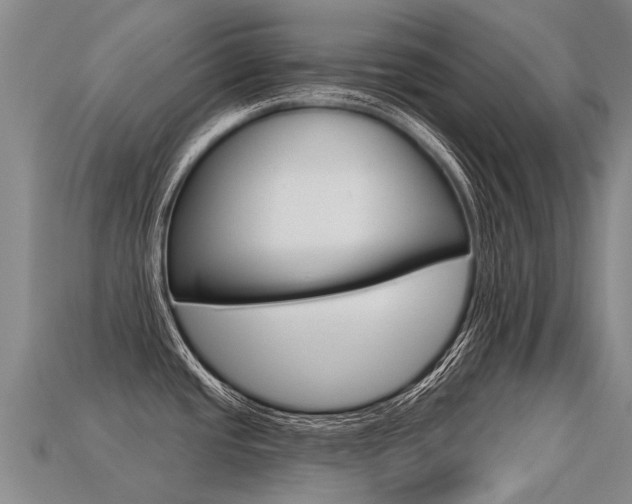 X0000113551437200909180950