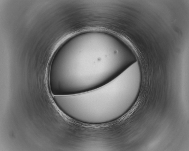 X0000113551438200909180950