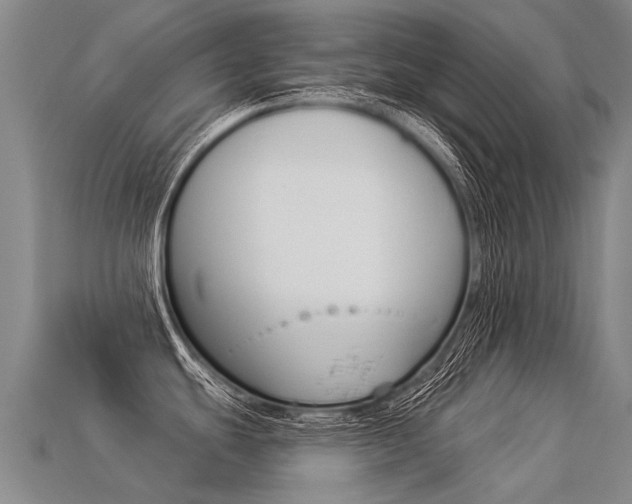 X0000113551439200909180950