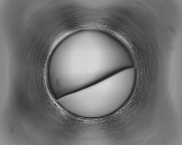 X0000113551440200909180950