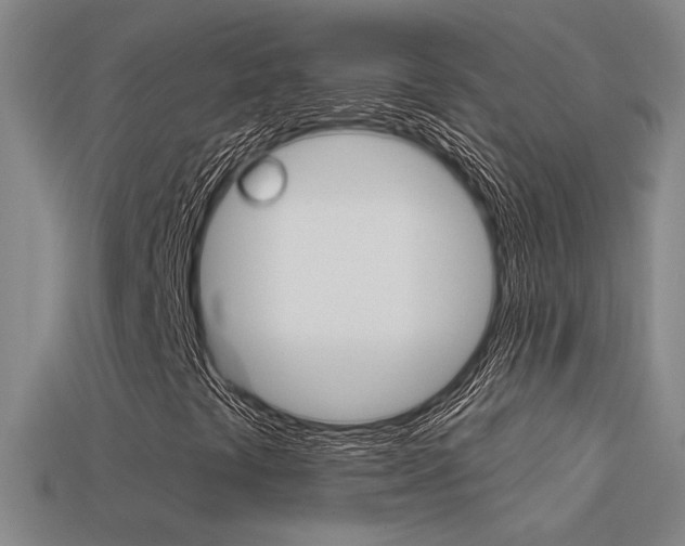 X0000113551441200909180949