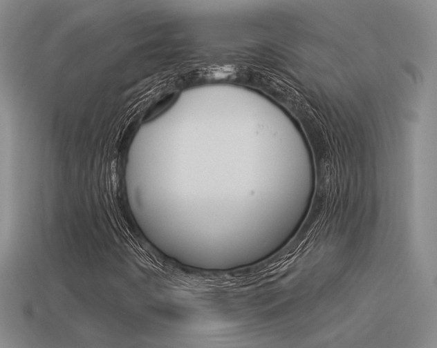 X0000113551442200909180949