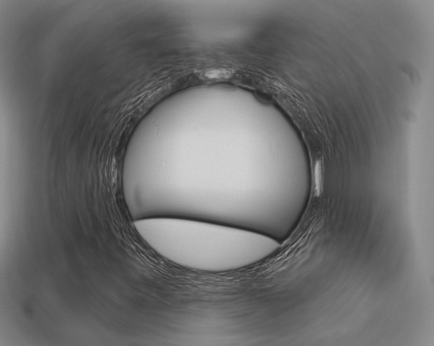 X0000113551443200909180949
