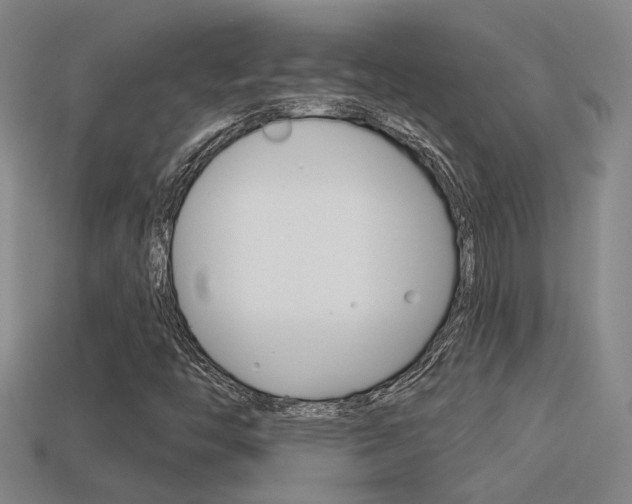 X0000113551446200909180949