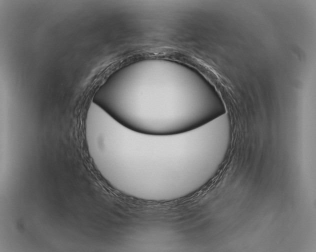 X0000113551447200909180949